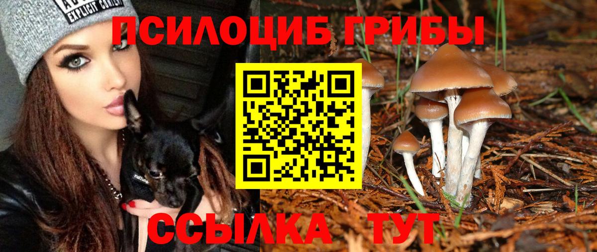 Псилоцибиновые грибы мицелий  Вход с VPN  Нижневартовск  Галлюциногенные грибы Magic Shrooms 